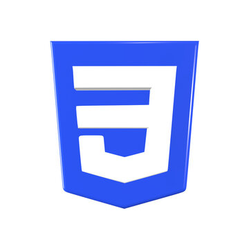 CSS Logo